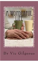 Wonderful Life