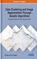 Data Clustering and Image Segmentation Through Genetic Algorithms