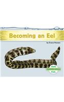 Becoming an Eel: (Changing Animals)