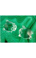 Critter Magnifier (Hippo)