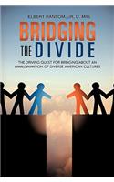 Bridging the Divide