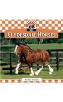 Clydesdale Horses