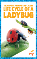 Life Cycle of a Ladybug: (Incredible Animal Life Cycles)