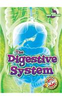 The Digestive System