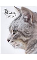 Diary 2020