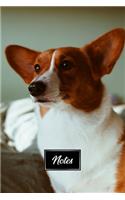 Pembroke Welsh Corgis Dog Pup Puppy Doggie Notebook Bullet Journal Diary Composition Book Notepad - Dreamy Eyes