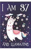 I am 37 and Llamazing