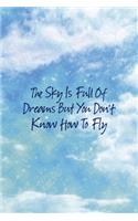 The Sky Is Full Of Dreams But You Don't Know How To Fly