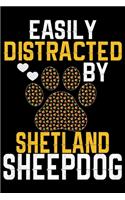Easily Distracted by Shetland Sheepdog