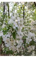 Springtime 2019 Daily Planner Open White Flowers 384 Pages