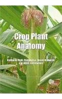 Crop Plant Anatomy