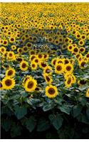 Ivf Notebook: Document Your Journey Towards Becoming Pregnant with This Nicely Looking Notebook. 120 Pages. 8.5' X 5.5'. (Sunflowers Cover).