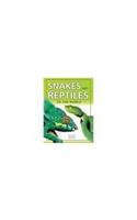 Snakes and Reptiles of the World
