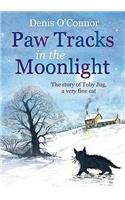 Paw Tracks in the Moonlight