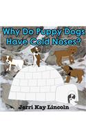 Why Do Puppy Dogs Have Cold Noses?