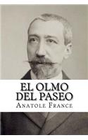 El olmo del paseo (Spanish Edition)