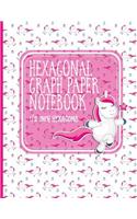 Hexagonal Graph Paper Notebook