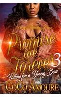 Promise Me Forever 3