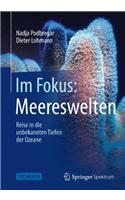 Im Fokus: Meereswelten