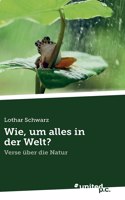 Wie, um alles in der Welt?