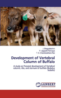 Development of Vertebral Column of Buffalo