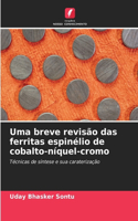 Uma breve revisão das ferritas espinélio de cobalto-níquel-cromo