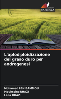 L'aplodiploidizzazione del grano duro per androgenesi