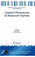 Complex Phenomena in Nanoscale Systems