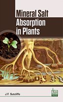 Mineral Salt Absorption In Plants