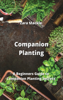 Companion Planting