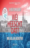 Wei heescht dat? - Was soll das bedeuten? - ca veut dire quoi?: 5000 Satze zum Luxemburgisch lernen