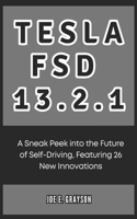 Tesla FSD 13.2.1