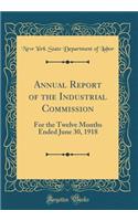 Annual Report of the Industrial Commission: For the Twelve Months Ended June 30, 1918 (Classic Reprint)