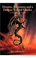Dreams, Dilemmas and a Dragon Named Charles