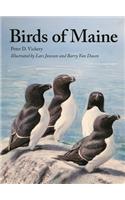 Birds of Maine