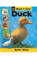 Watch It Grow: Duck