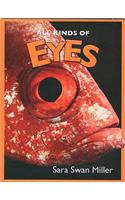 All Kinds of Eyes: (All Kinds of... S.)
