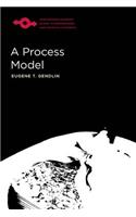 Process Model