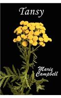 Tansy
