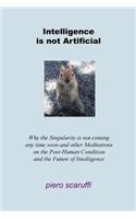 Intelligence is not Artificial