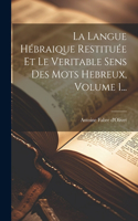 Langue Hébraique Restituée Et Le Veritable Sens Des Mots Hebreux, Volume 1...