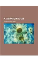 A Private in Gray