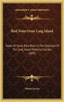 Bird Notes From Long Island