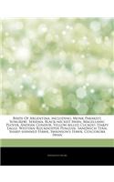 Articles on Birds of Argentina, Including: Monk Parakeet, Sungrebe, Seriema, Black-Necked Swan, Magellanic Plover, Andean Condor, Yellow-Billed Cuckoo