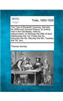 Trial of Elizabeth Canning, Spinster, for Wilful and Corrupt Perjury; At Justice Hall in the Old-Bailey, Held by Adjournment, on Monday the 29th of April, Wednesday the 1st, Friday the 3D, Saturday the 4th, Monday the 6th, Tuesday the 7th, And...