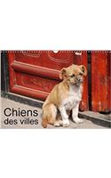 Chiens Des Villes 2018: La Vie Canine En Ville(Calvendo Animaux)