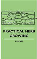 Practical Herb Growing