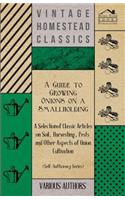 A Guide to Growing Onions on a Smallholding - A Selection of Classic Articles on Soil, Harvesting, Pests and Other Aspects of Onion Cultivation (Self-Sufficiency Series)