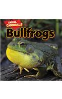 Bullfrogs