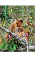 A Visual Guide to Mammals